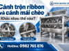 Cánh trộn ribbon và cánh mái chèo khác nhau thế nào?