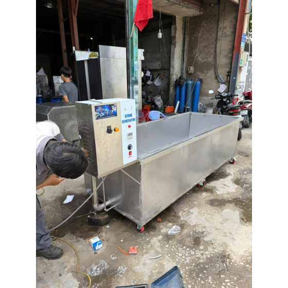 Máy rửa rau củ công nghiệp sục khí Ozone khử khuẩn