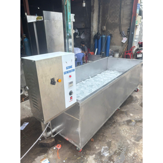 Máy rửa rau củ công nghiệp sục khí Ozone khử khuẩn