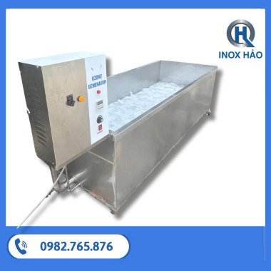 Máy rửa rau củ công nghiệp sục khí Ozone khử khuẩn
